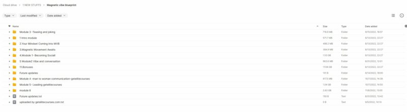  Coach Kyle – Magnetic Vibe Blueprint-Download